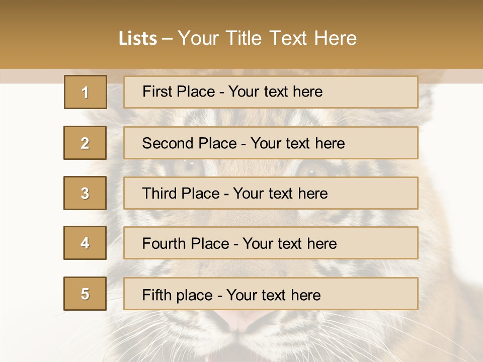 Felidae Closeup Studio PowerPoint Template