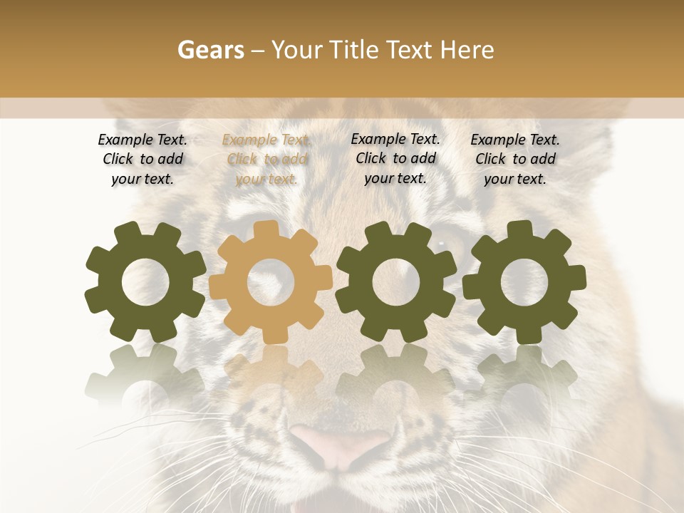 Felidae Closeup Studio PowerPoint Template