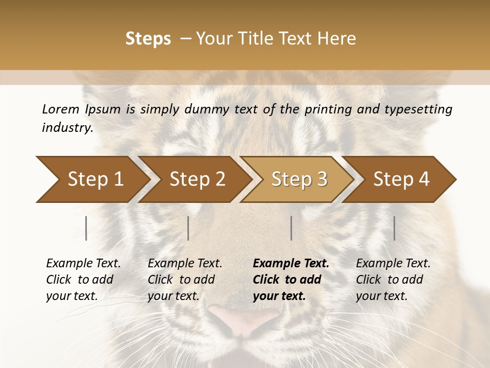 Felidae Closeup Studio PowerPoint Template