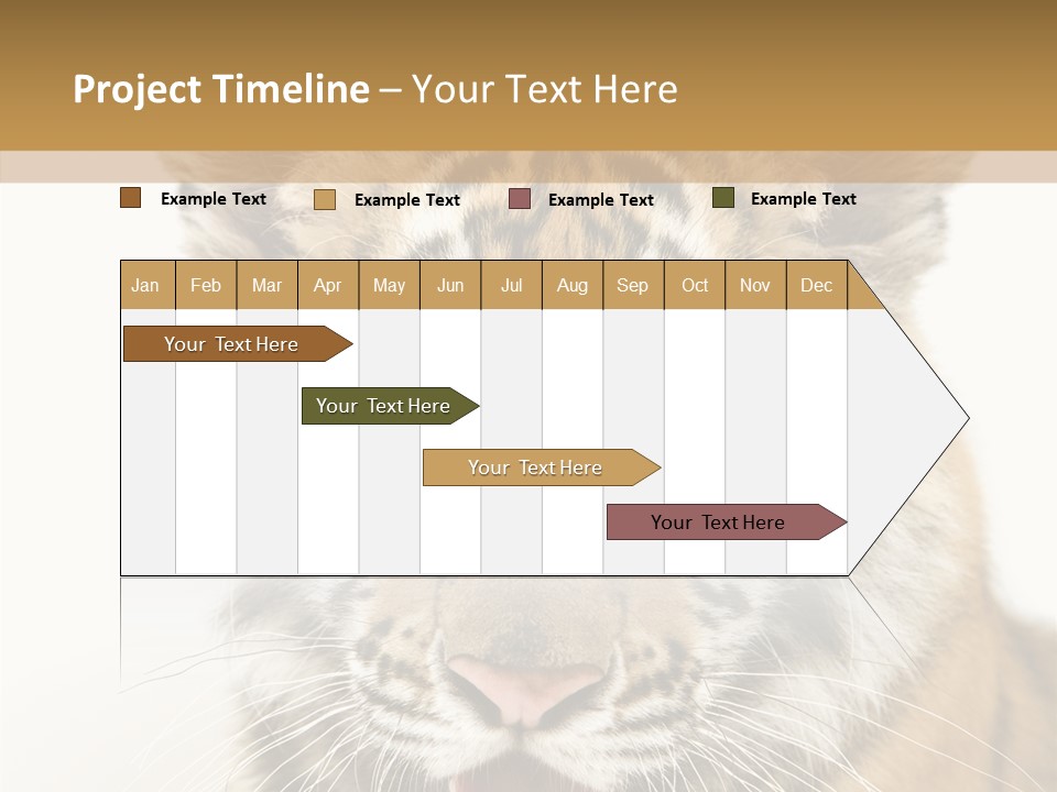 Felidae Closeup Studio PowerPoint Template