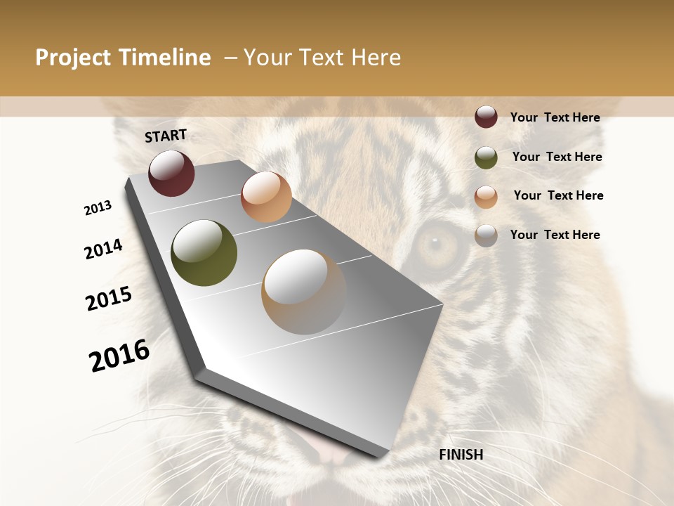 Felidae Closeup Studio PowerPoint Template