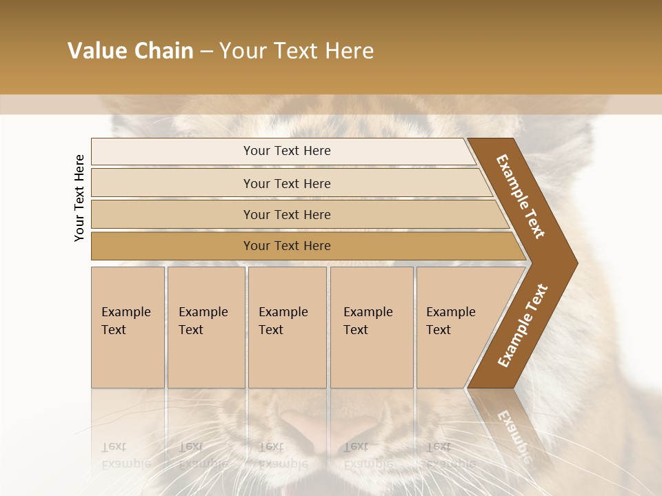 Felidae Closeup Studio PowerPoint Template