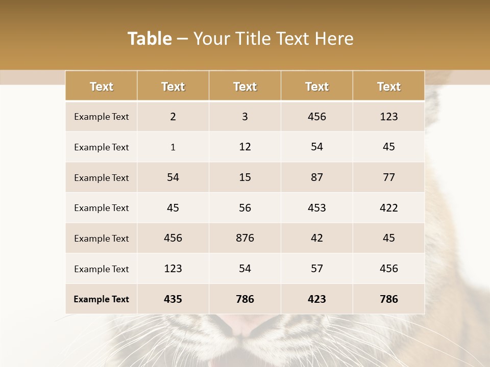 Felidae Closeup Studio PowerPoint Template