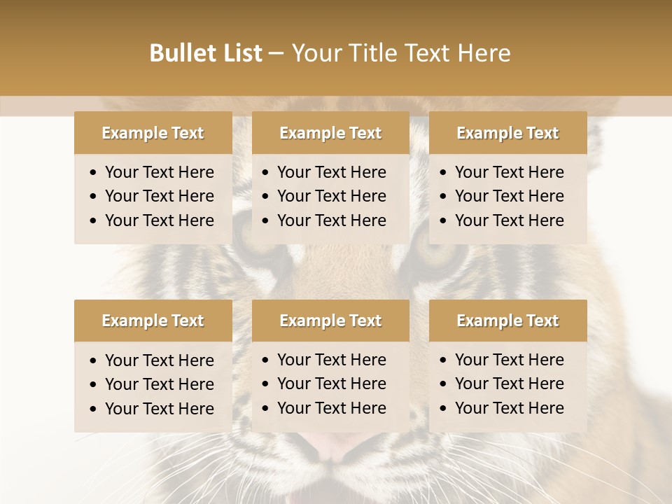 Felidae Closeup Studio PowerPoint Template