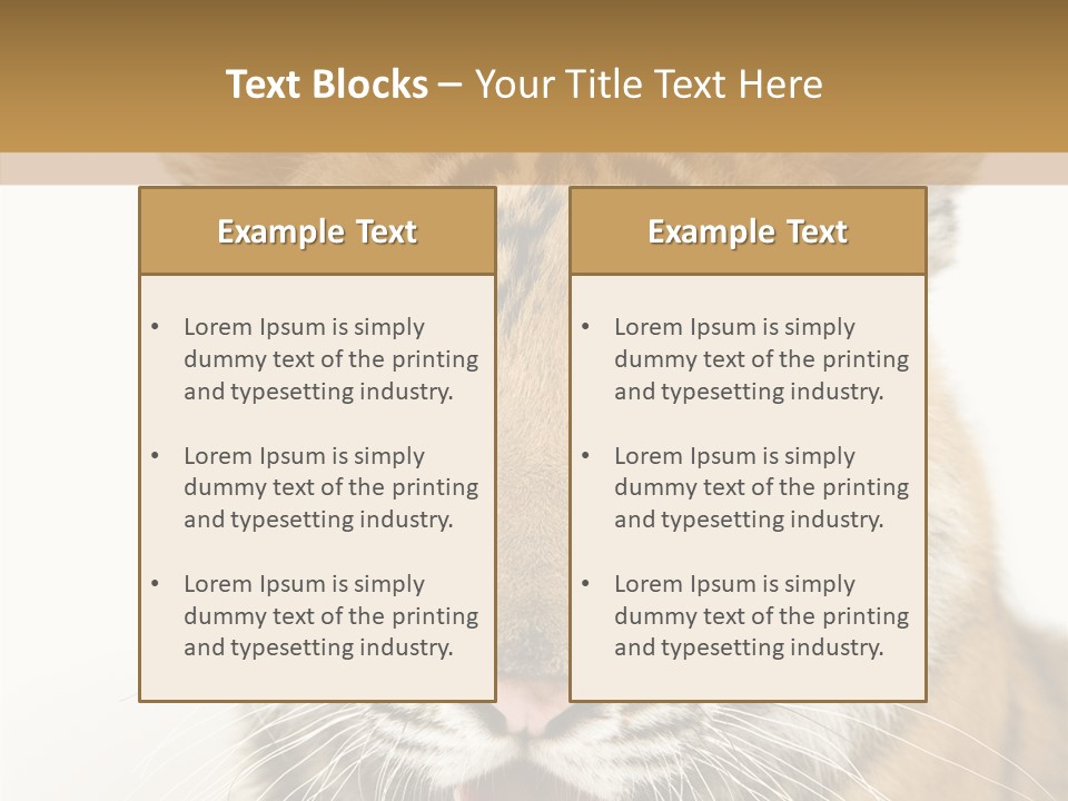 Felidae Closeup Studio PowerPoint Template