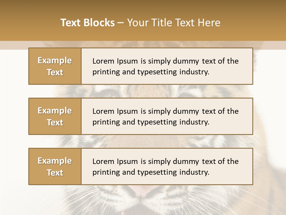 Felidae Closeup Studio PowerPoint Template