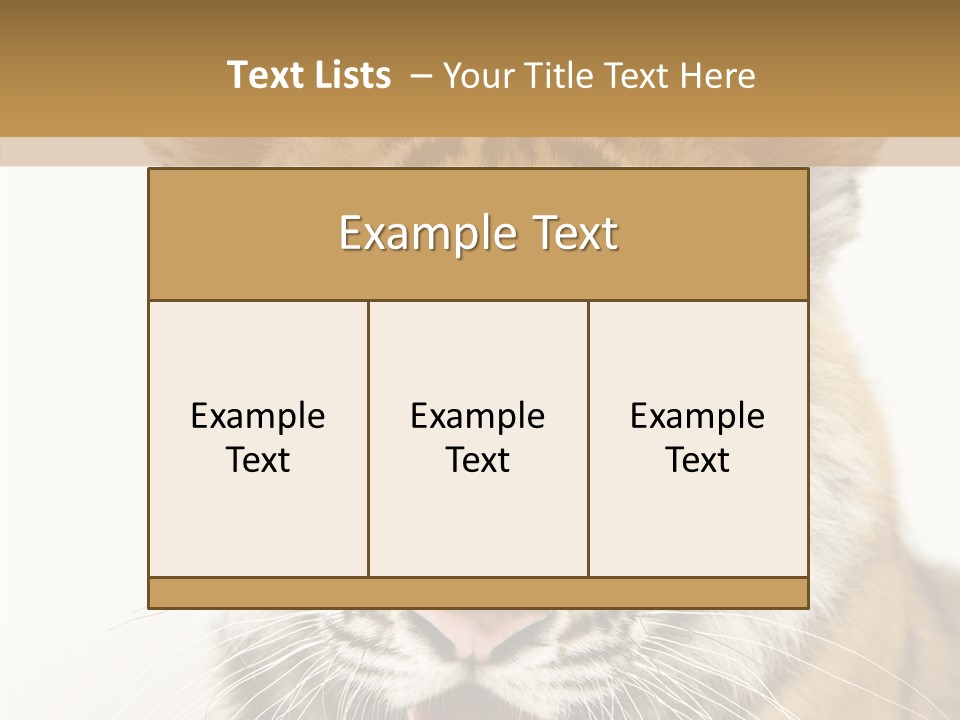 Felidae Closeup Studio PowerPoint Template