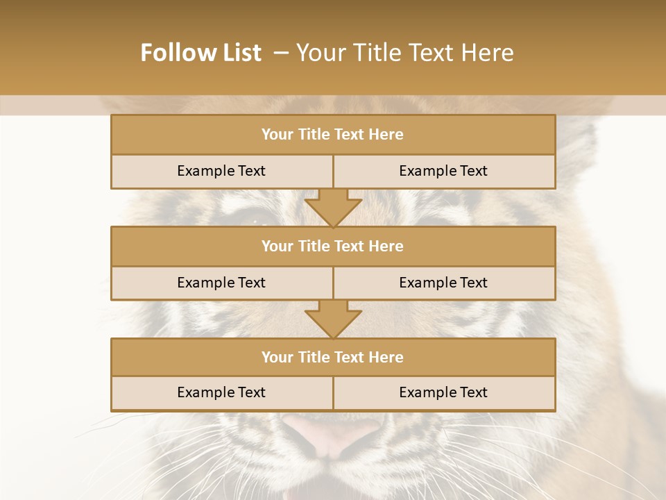 Felidae Closeup Studio PowerPoint Template