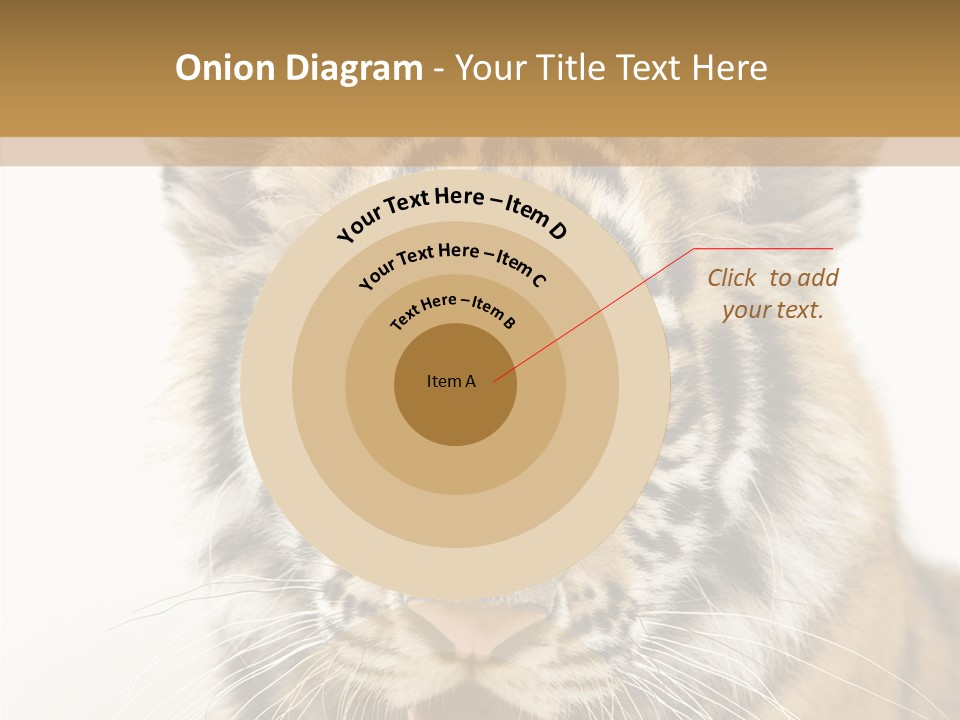 Felidae Closeup Studio PowerPoint Template