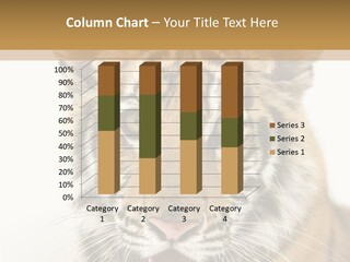 Felidae Closeup Studio PowerPoint Template