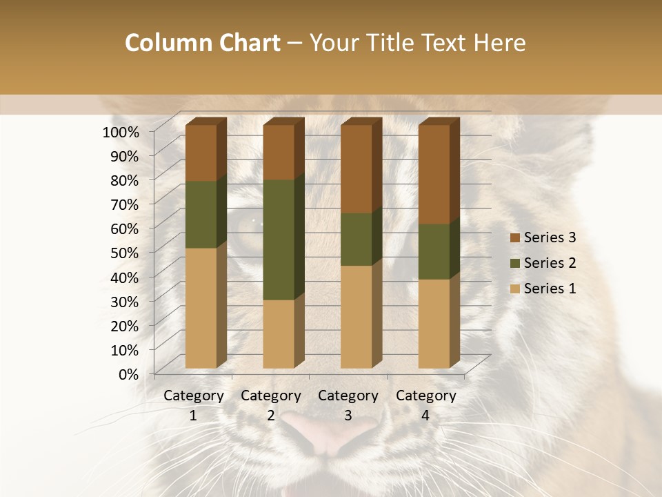 Felidae Closeup Studio PowerPoint Template