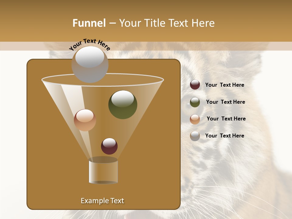 Felidae Closeup Studio PowerPoint Template