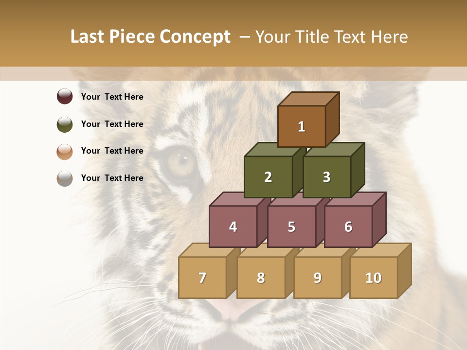 Felidae Closeup Studio PowerPoint Template