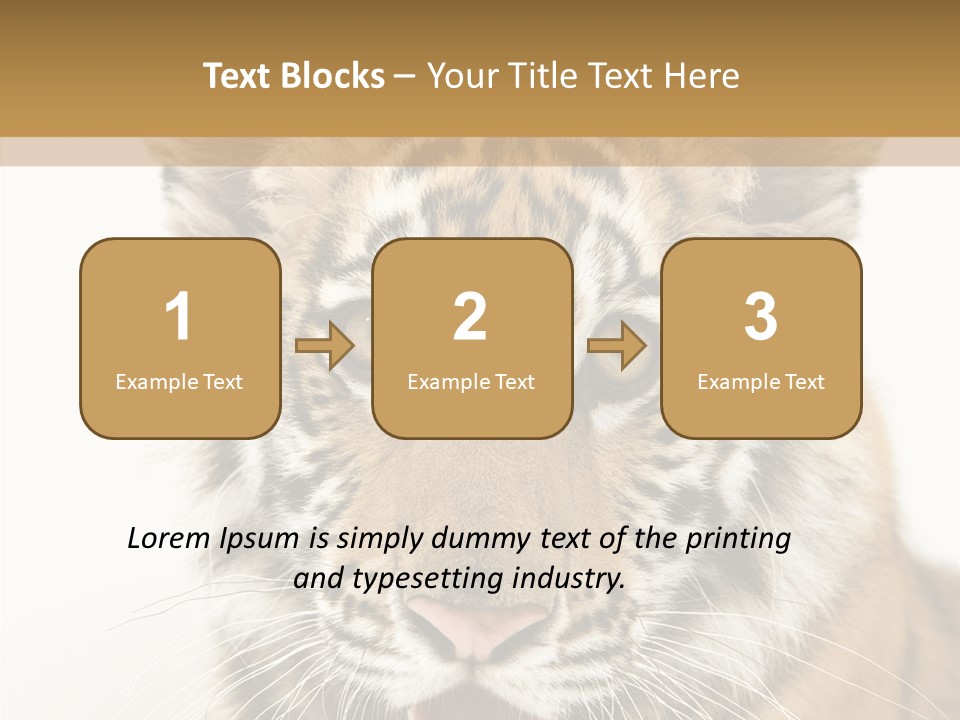 Felidae Closeup Studio PowerPoint Template
