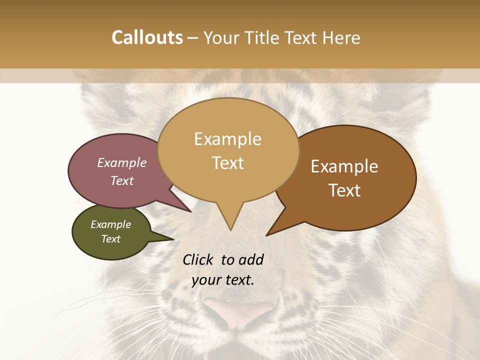 Felidae Closeup Studio PowerPoint Template