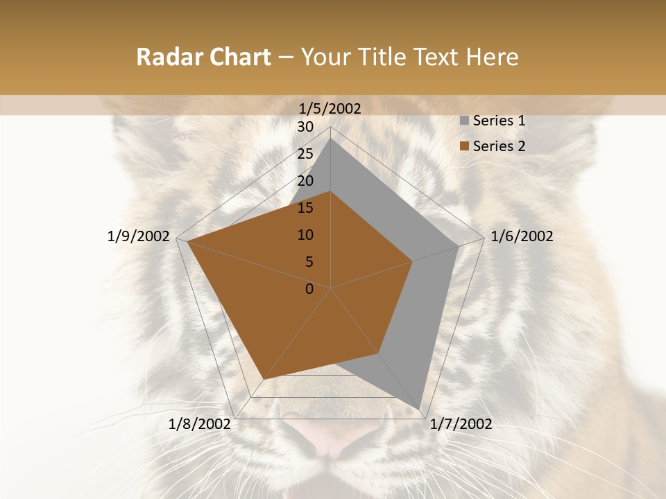 Felidae Closeup Studio PowerPoint Template