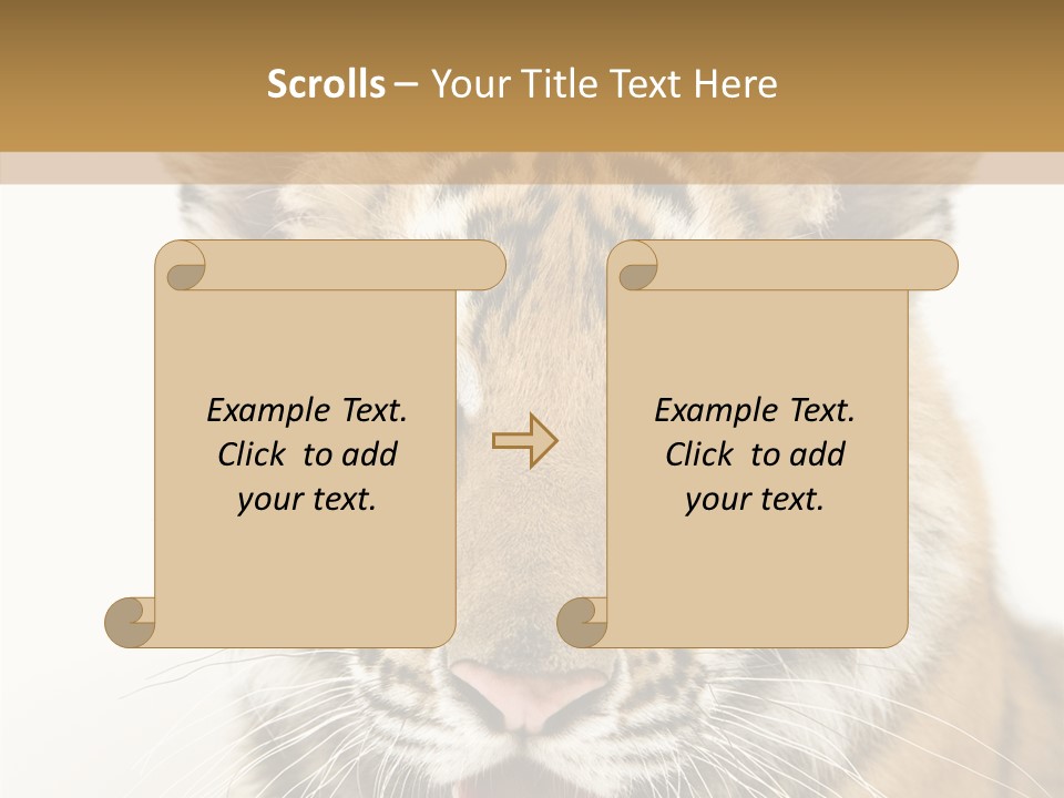 Felidae Closeup Studio PowerPoint Template