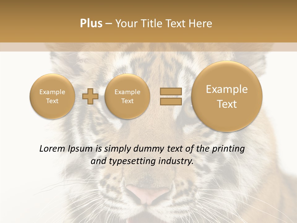 Felidae Closeup Studio PowerPoint Template