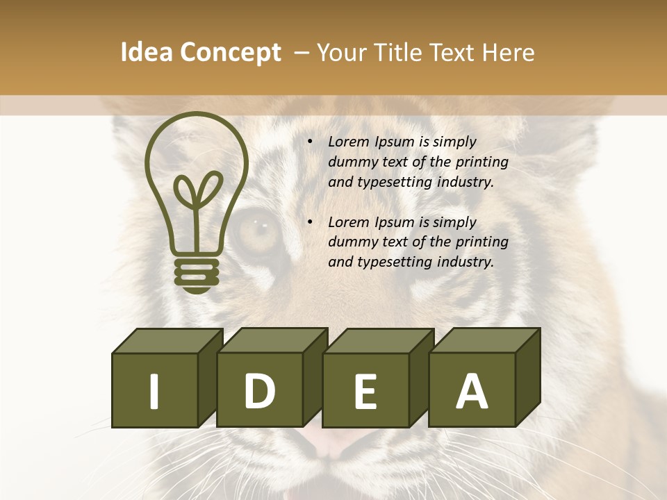 Felidae Closeup Studio PowerPoint Template