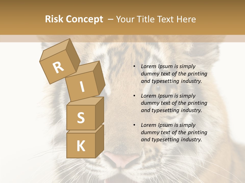 Felidae Closeup Studio PowerPoint Template