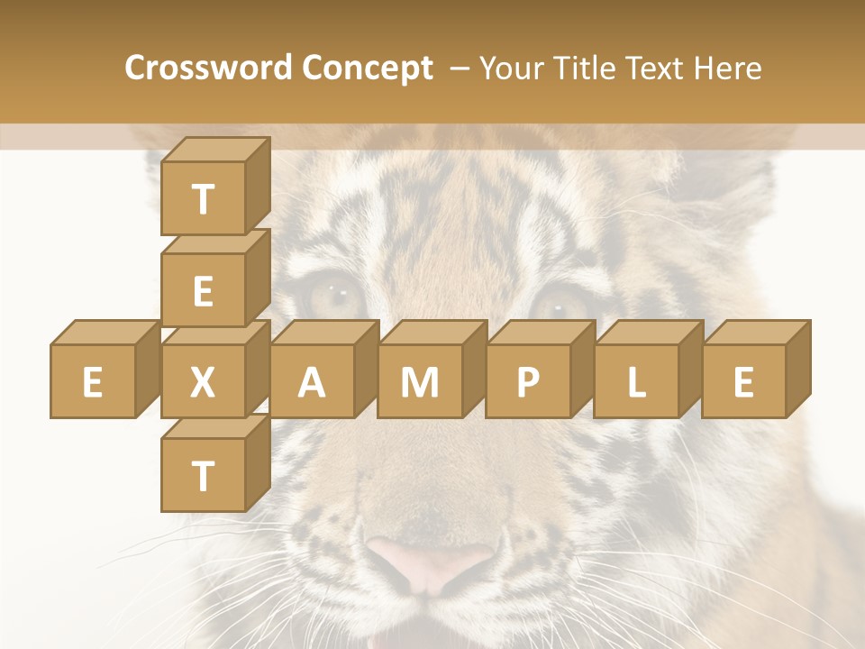 Felidae Closeup Studio PowerPoint Template