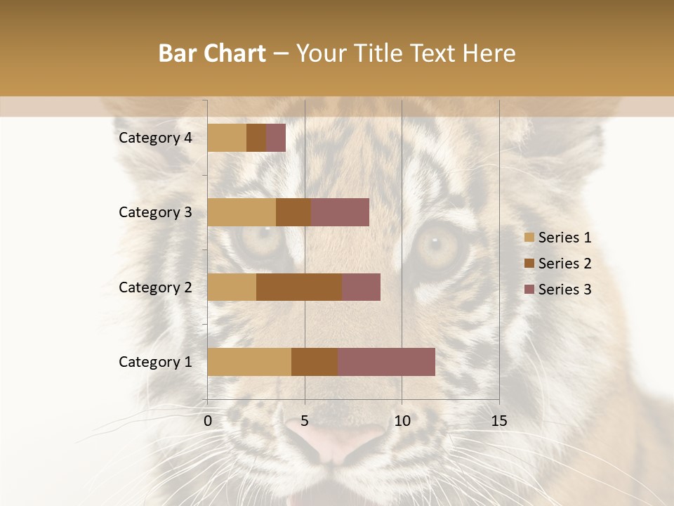 Felidae Closeup Studio PowerPoint Template