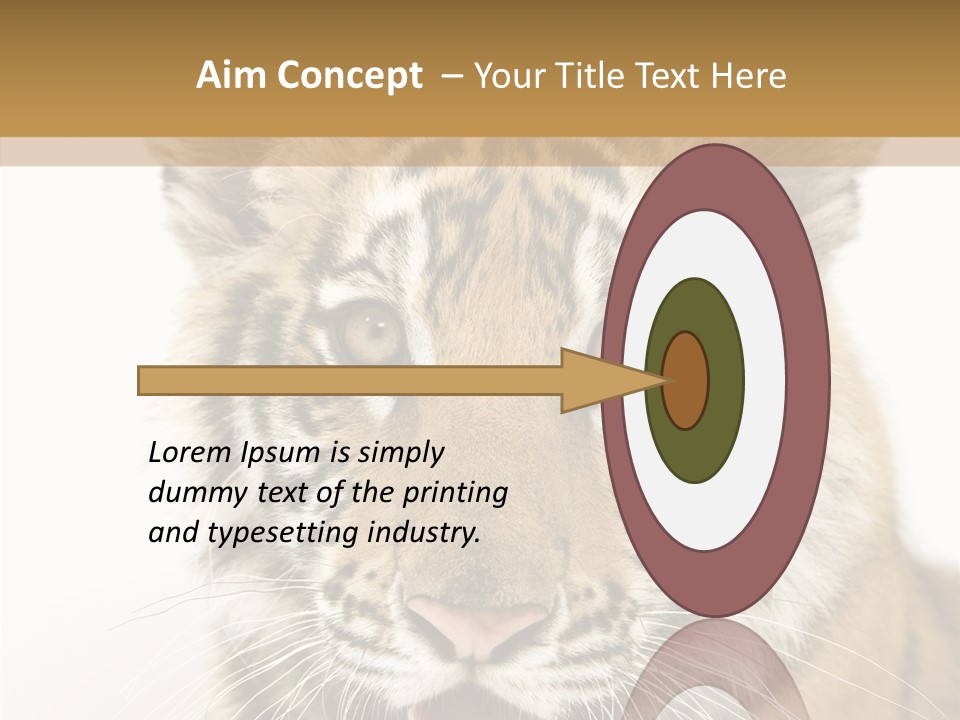Felidae Closeup Studio PowerPoint Template