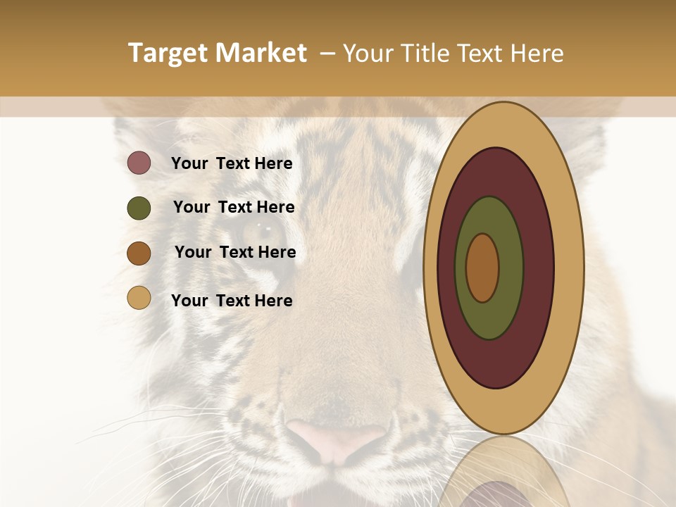 Felidae Closeup Studio PowerPoint Template