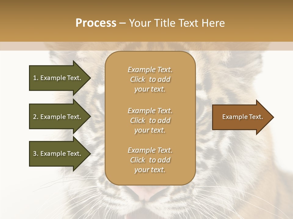 Felidae Closeup Studio PowerPoint Template