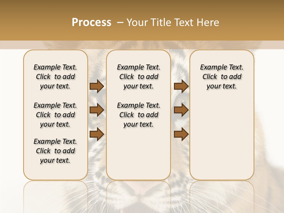 Felidae Closeup Studio PowerPoint Template