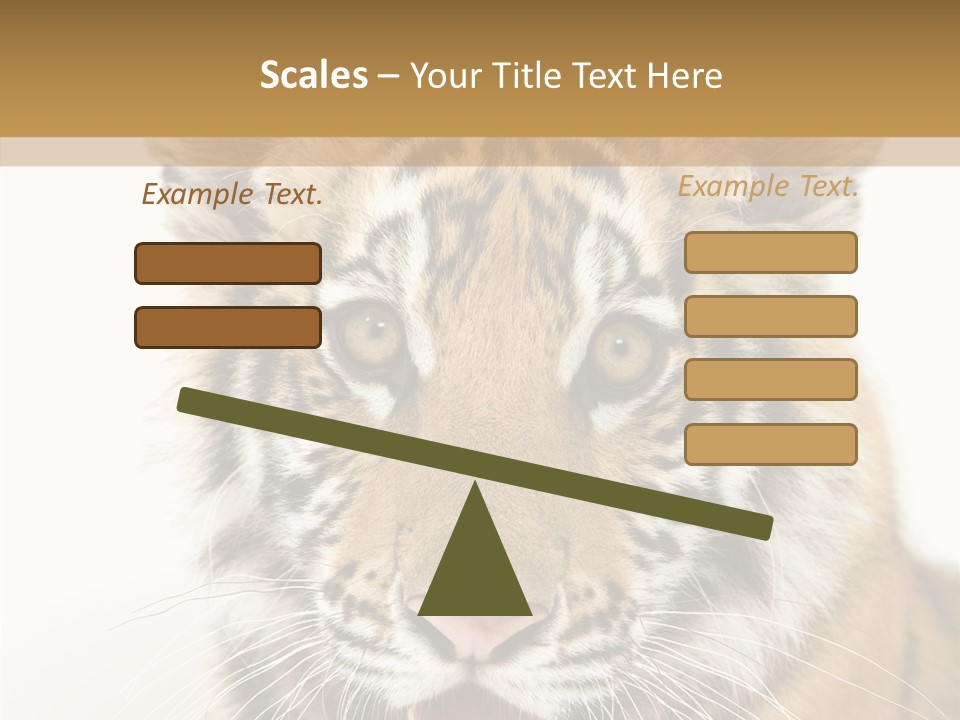 Felidae Closeup Studio PowerPoint Template