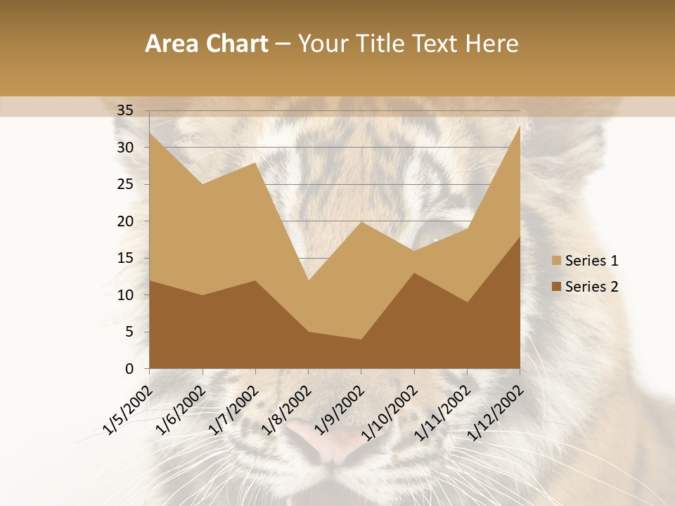 Felidae Closeup Studio PowerPoint Template