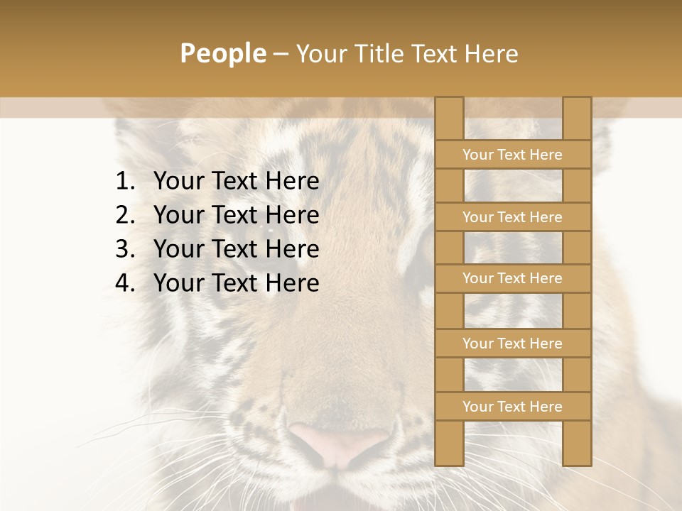 Felidae Closeup Studio PowerPoint Template