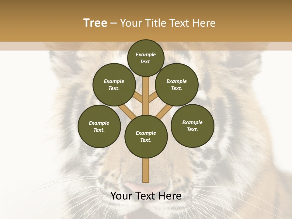 Felidae Closeup Studio PowerPoint Template