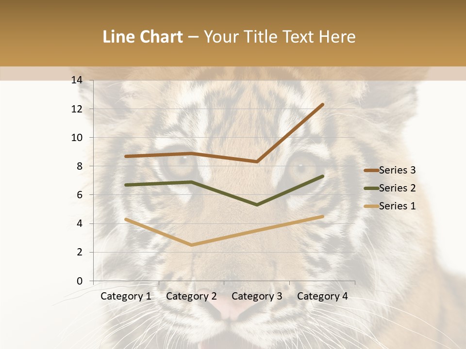 Felidae Closeup Studio PowerPoint Template