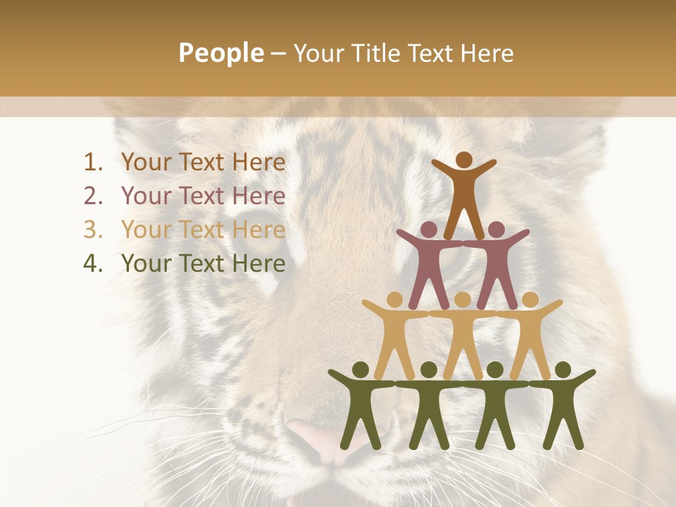 Felidae Closeup Studio PowerPoint Template