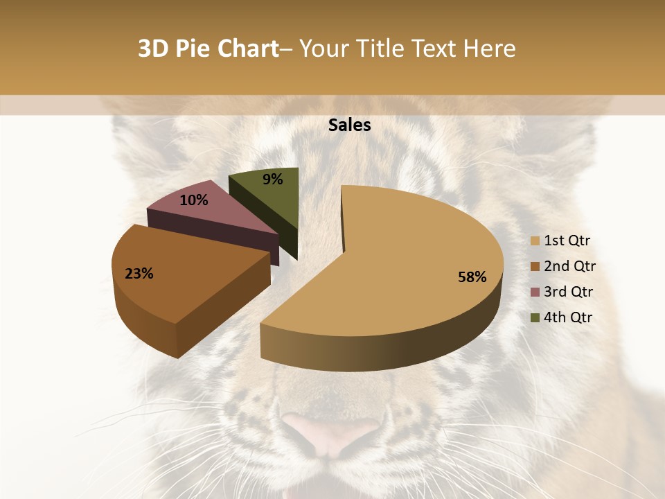 Felidae Closeup Studio PowerPoint Template