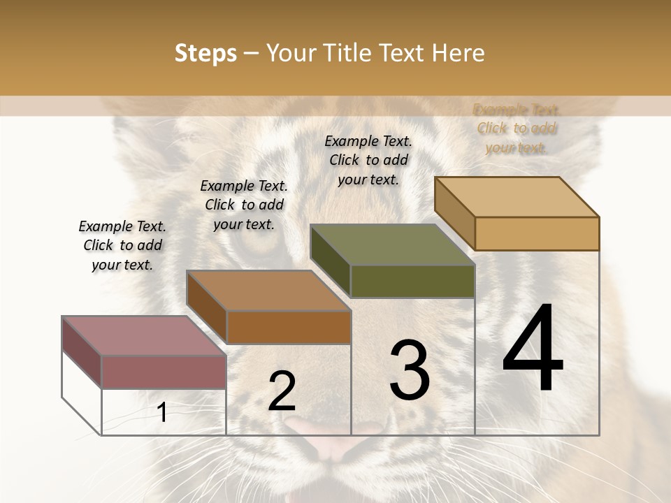 Felidae Closeup Studio PowerPoint Template