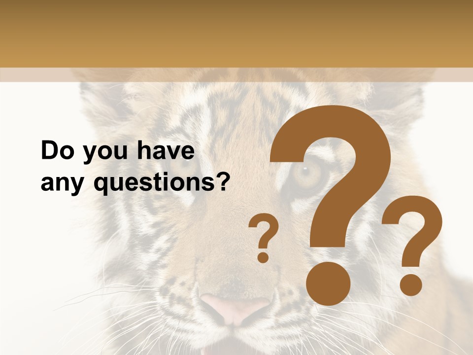 Felidae Closeup Studio PowerPoint Template