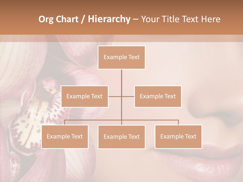 Glamor Elegant Beautiful PowerPoint Template