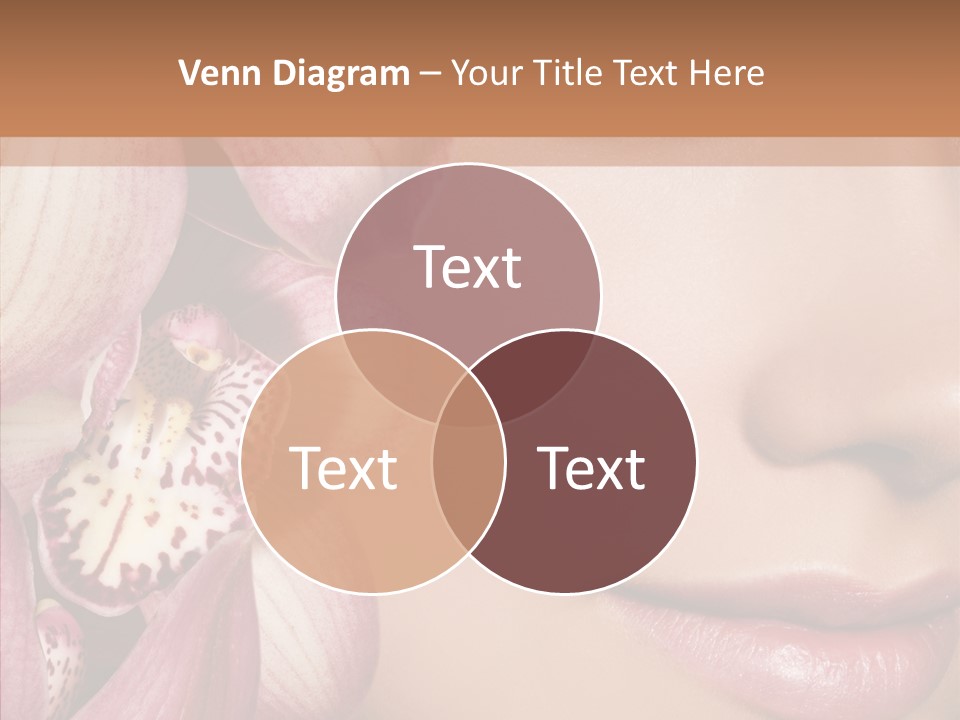 Glamor Elegant Beautiful PowerPoint Template