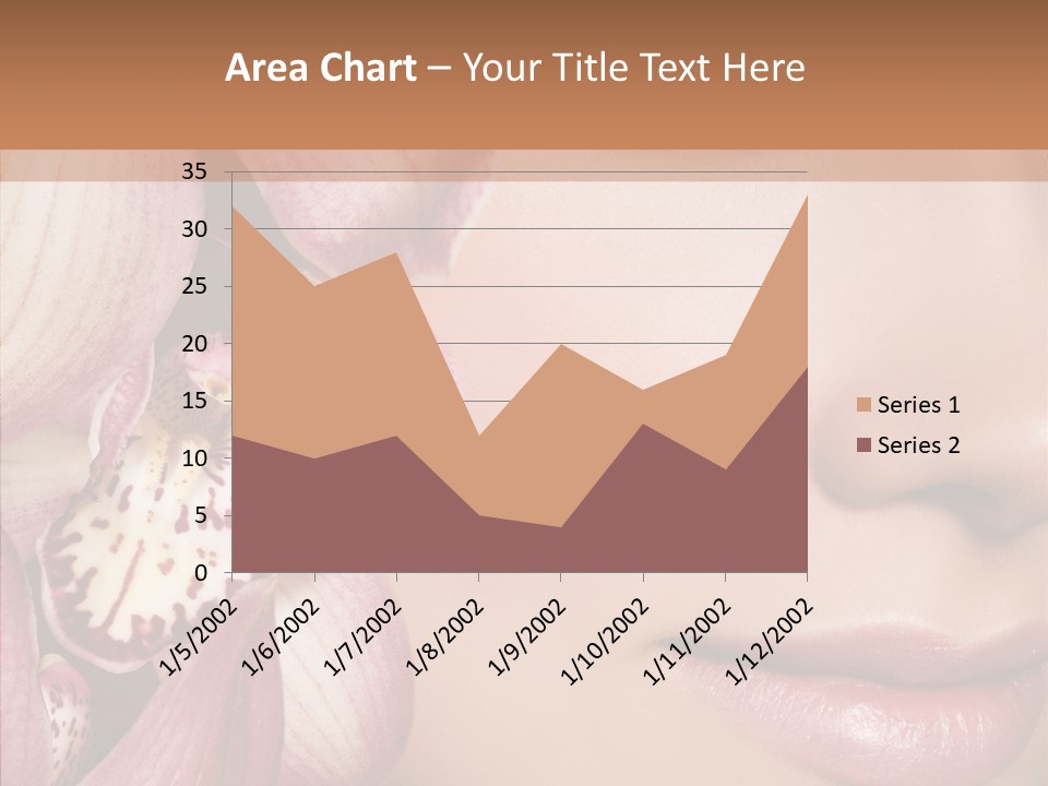 Glamor Elegant Beautiful PowerPoint Template