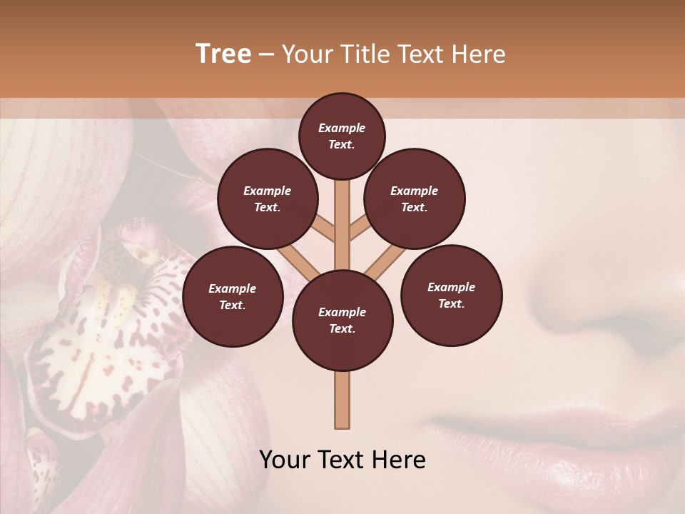 Glamor Elegant Beautiful PowerPoint Template