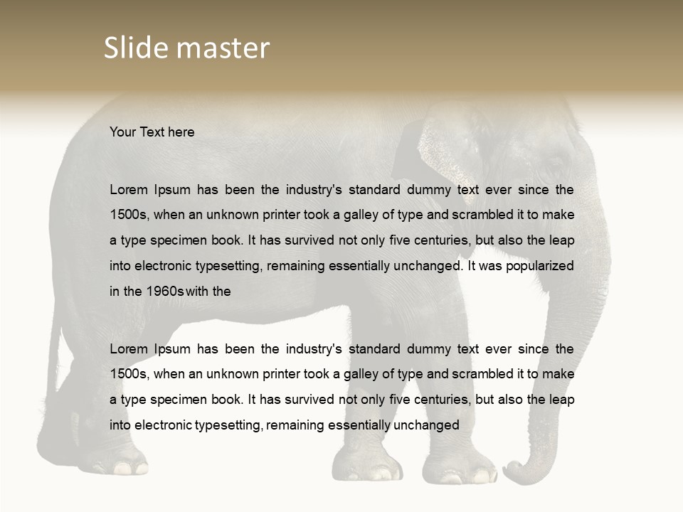 Travel Portrait Strong PowerPoint Template