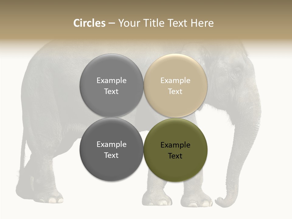 Travel Portrait Strong PowerPoint Template