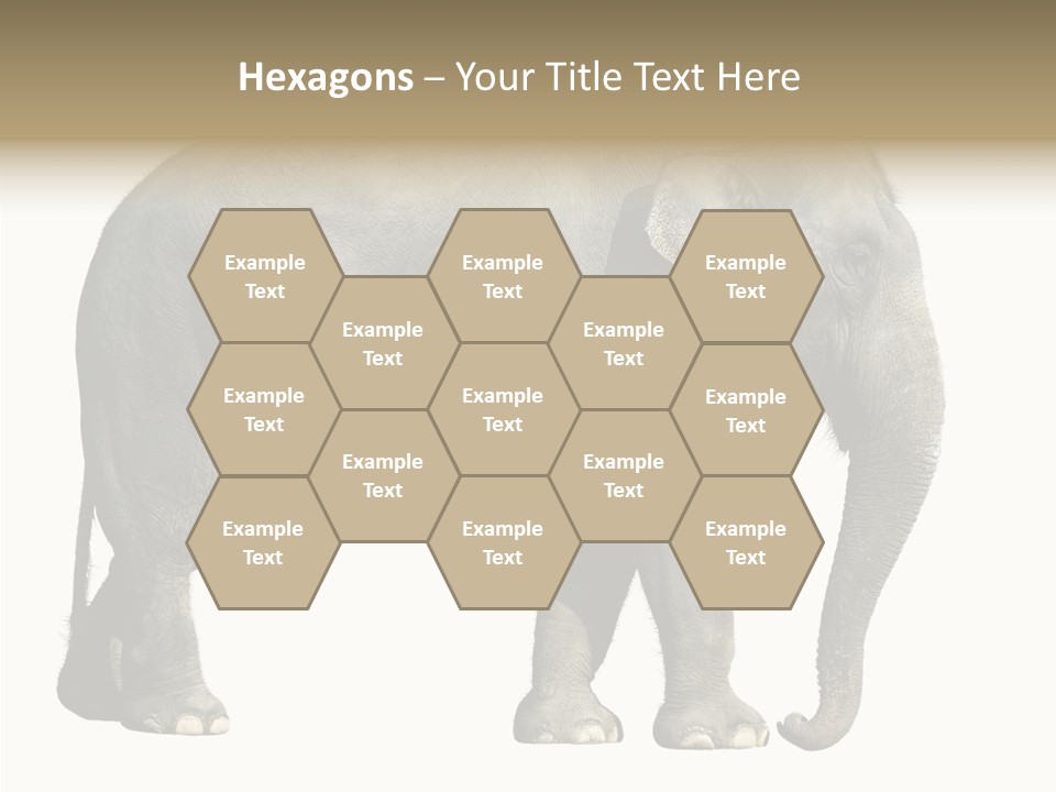 Travel Portrait Strong PowerPoint Template