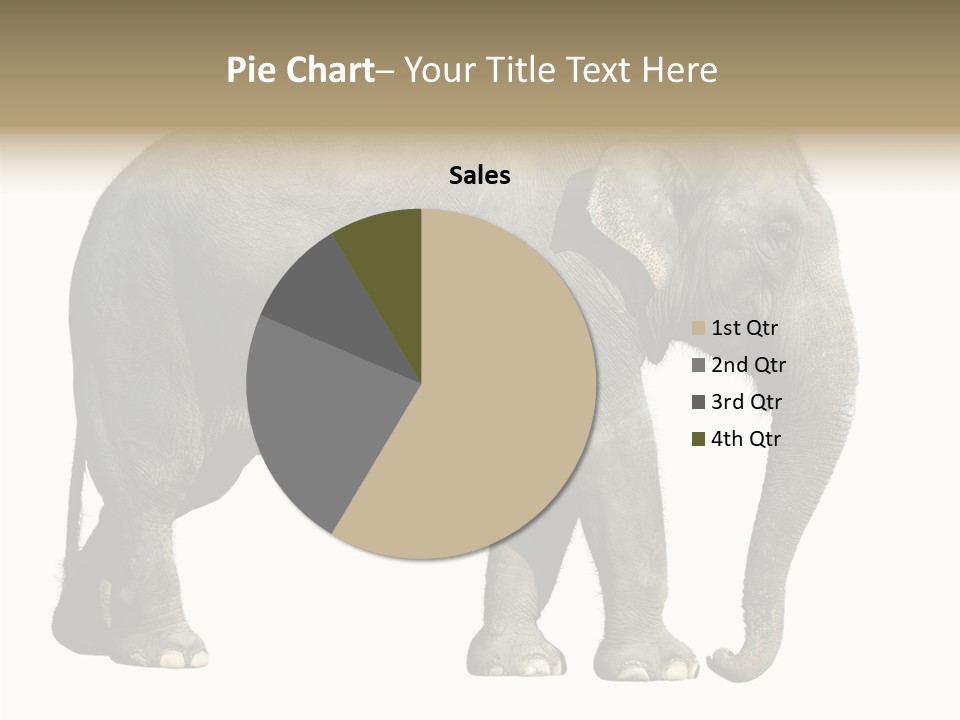 Travel Portrait Strong PowerPoint Template