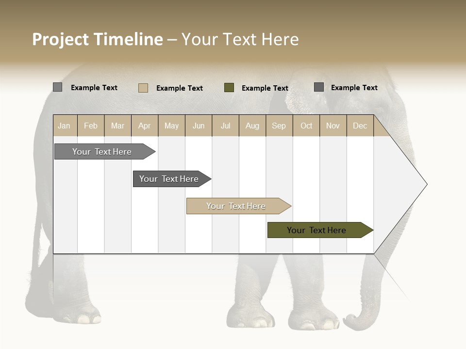 Travel Portrait Strong PowerPoint Template