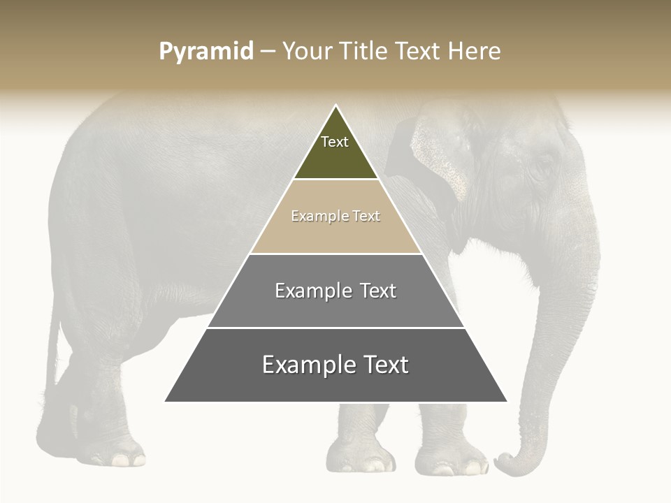 Travel Portrait Strong PowerPoint Template