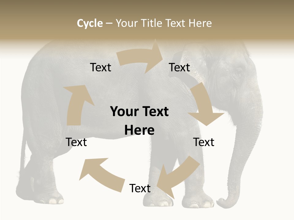 Travel Portrait Strong PowerPoint Template